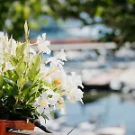 Апартаменты Welcome Traveller La Casa Degli Acquerelli *